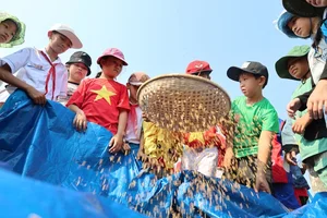 Discovering the Cultural Heritage and Traditional Festivals of Quang Ngai Province, Vietnam - image 7