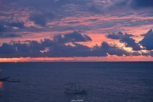 Phu Quy Island Adventure: Fresh Seafood and Breathtaking Coastal Views - image 2