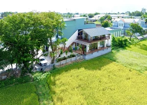 Modern 250m2 Townhouse Design: A Green Oasis Blending Urban Living with Nature - image 6
