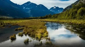 Uncovering the Surprising Truths About Alaska You Probably Didn't Know - image 4