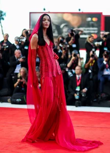 Runway Beauties Steal the Spotlight on the Red Carpet - image 0