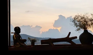 Inside Actor Dai Nghia's Peaceful Garden Retreat in Da Lat - image 0