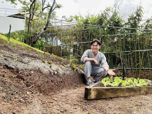 Inside Actor Dai Nghia's Peaceful Garden Retreat in Da Lat - image 8