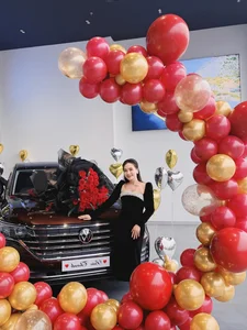 Vietnamese Celebrities Splurge on Multi-Billion Luxury Cars - image 4