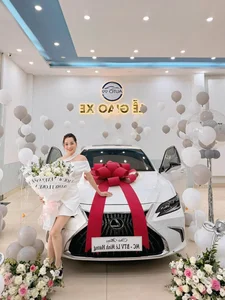 Vietnamese Celebrities Splurge on Multi-Billion Luxury Cars - image 9