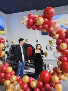 Vietnamese Celebrities Splurge on Multi-Billion Luxury Cars - image 3