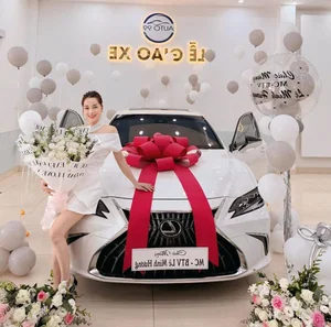 Vietnamese Celebrities Splurge on Multi-Billion Luxury Cars - image 5