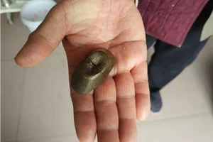 Lucky Find: How a Split Stone Changed One Woman's Life Forever - image 8