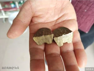 Lucky Find: How a Split Stone Changed One Woman's Life Forever - image 3