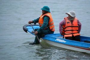 Protecting Can Gio Mangrove Forest: A Half-Century Conservation Journey - image 8