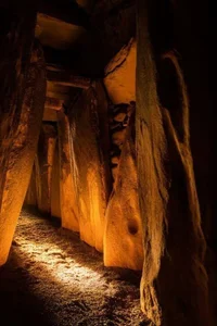 Ancient 5,000-Year-Old Irish Tomb Reveals Secrets of a Divine King - image 5