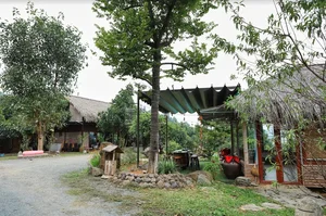 Life in the Mountains: The Talented NSƯT Finds Peace in Solitude - image 6