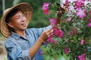 Life in the Mountains: The Talented NSƯT Finds Peace in Solitude - image 4