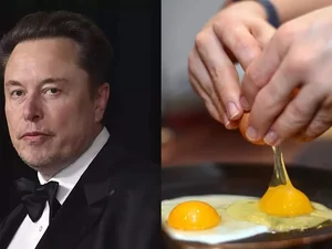 The Untold Story of Elon Musk’s Early Struggles and Poverty - image 3