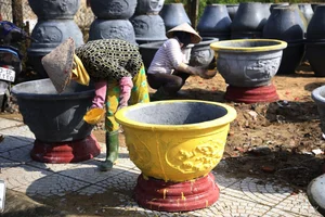 Inside Central Vietnam’s Largest Kumquat Village Preparing for Lunar New Year - image 0