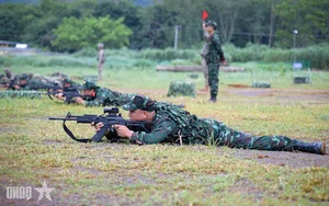 Joint Military Training Exercises Between Vietnam and China Land Forces - image 5