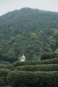 Comprehensive Fashion Portfolio: YiTuYu Art Language Vol.9791 Shi Nan Yuan - image 12