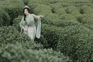 Comprehensive Fashion Portfolio: YiTuYu Art Language Vol.9791 Shi Nan Yuan - image 11