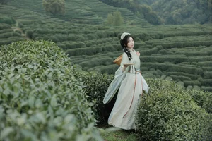 Comprehensive Fashion Portfolio: YiTuYu Art Language Vol.9791 Shi Nan Yuan - image 41