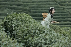 Comprehensive Fashion Portfolio: YiTuYu Art Language Vol.9791 Shi Nan Yuan - image 45