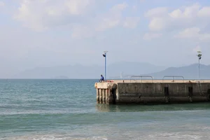 Discover the Stunning Coastal Charm of Nha Trang, Vietnam: A Paradise for Beach Lovers and Scenic City Walks - image 1