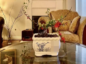 Inside Actress Dieu Huong's Beautiful Life in Her US Villa - image 2