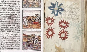 The Unsolved Mystery of the Voynich Manuscript: History's Most Bizarre Book - image 14