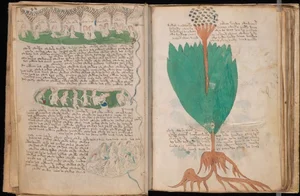 The Unsolved Mystery of the Voynich Manuscript: History's Most Bizarre Book - image 6