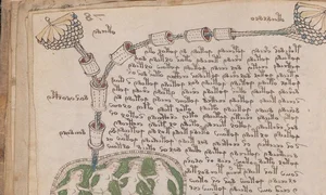 The Unsolved Mystery of the Voynich Manuscript: History's Most Bizarre Book - image 13