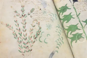 The Unsolved Mystery of the Voynich Manuscript: History's Most Bizarre Book - image 8