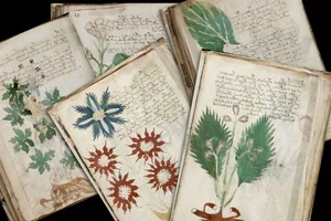 The Unsolved Mystery of the Voynich Manuscript: History's Most Bizarre Book - image 10