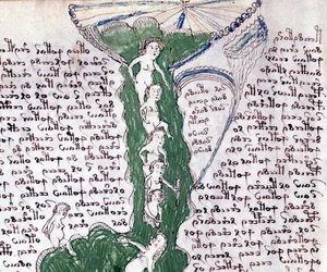 The Unsolved Mystery of the Voynich Manuscript: History's Most Bizarre Book - image 12