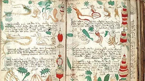 The Unsolved Mystery of the Voynich Manuscript: History's Most Bizarre Book - image 7