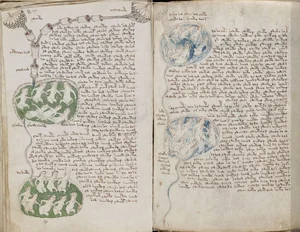 The Unsolved Mystery of the Voynich Manuscript: History's Most Bizarre Book - image 2