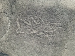 Groundbreaking Nazca Desert Discoveries by Japanese Researchers - image 9