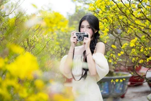 Stunning Yellow Apricot Blossoms: Traditional Vietnamese Lunar New Year Decor and Spring Blossom Inspiration for Your Home and Garden - image 4