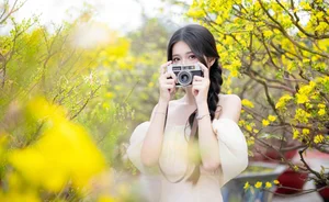 Stunning Yellow Apricot Blossoms: Traditional Vietnamese Lunar New Year Decor and Spring Blossom Inspiration for Your Home and Garden - image 7