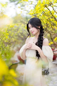 Stunning Yellow Apricot Blossoms: Traditional Vietnamese Lunar New Year Decor and Spring Blossom Inspiration for Your Home and Garden - image 3