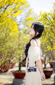 Stunning Yellow Apricot Blossoms: Traditional Vietnamese Lunar New Year Decor and Spring Blossom Inspiration for Your Home and Garden - image 0
