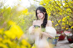 Stunning Yellow Apricot Blossoms: Traditional Vietnamese Lunar New Year Decor and Spring Blossom Inspiration for Your Home and Garden - image 5