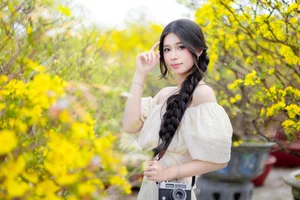 Stunning Yellow Apricot Blossoms: Traditional Vietnamese Lunar New Year Decor and Spring Blossom Inspiration for Your Home and Garden - image 1
