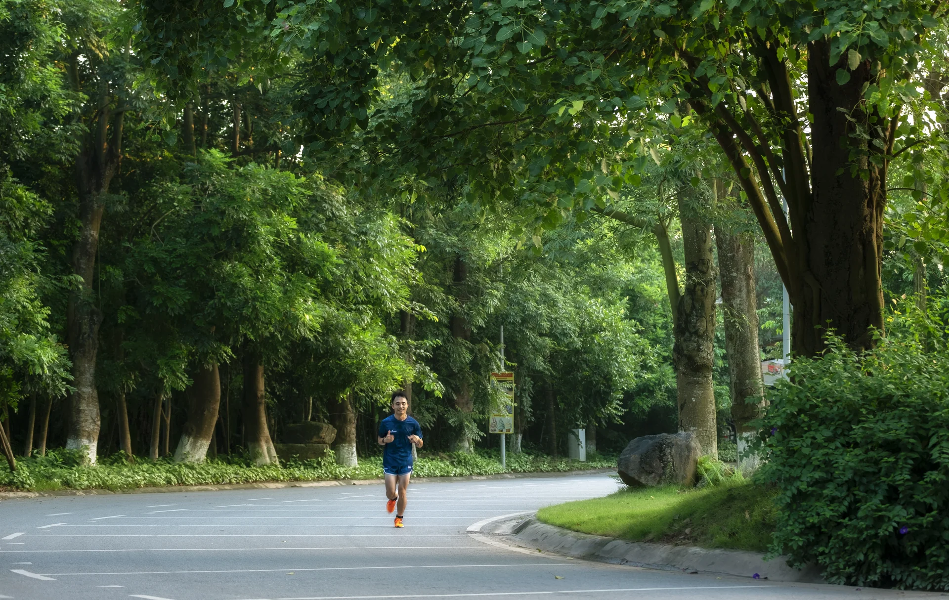 Ecopark: The Pioneering Journey of Creating Forest Retreats in Vietnam
