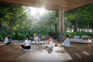 Ecopark: The Pioneering Journey of Creating Forest Retreats in Vietnam - image 3