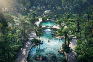 Ecopark: The Pioneering Journey of Creating Forest Retreats in Vietnam - image 6