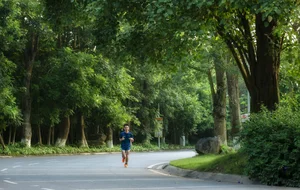 Ecopark: The Pioneering Journey of Creating Forest Retreats in Vietnam - image 0