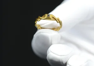 Metal Detectorist Unearths Ancient Treasure Worth Millions in the Forest - image 3