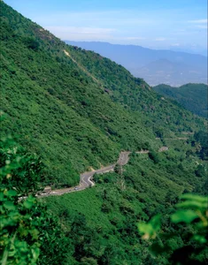 The Ultimate Guide to Exploring the Iconic Hai Van Pass in Vietnam - image 6