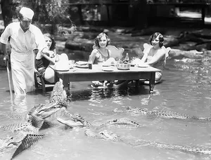 Rare Historical Photos Capturing Fascinating and Forgotten Moments in Time - image 6