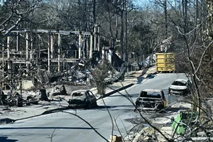 Devastating Los Angeles Wildfires Leave Trails of Destruction - image 0