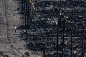 Devastating Los Angeles Wildfires Leave Trails of Destruction - image 1